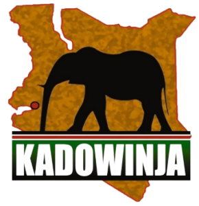 Screenshot_2025-11-12_190144-removebg-preview