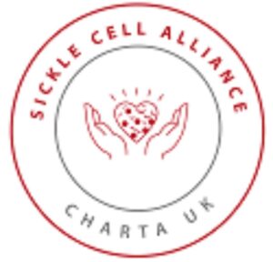 WhatsApp Image 2025-12-31 at 16.46.25